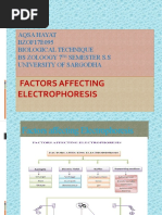 Factors Affecting Electrophoresis