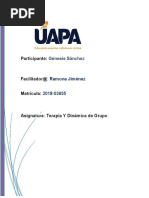 Terapia. Grupo Tarea 3