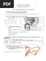 Ficha Ciencias 6 Ano Reproducao