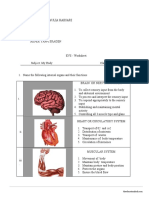 Akper Yappi Tugas II - Human Body Parts (Nita)