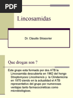 Lincosamida