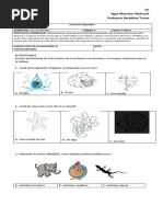 P. Diagnostica - Cs. Naturales 1º Básico