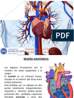 Corazon y Grandes Vasos