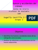 Tarea de Craneo Grupo 2