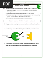 Worksheet On Enzymes