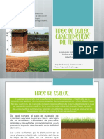 Pres. Power Point Tipos de Suelos