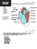 HBS-Distance Learning - Heart Diagram Labeling