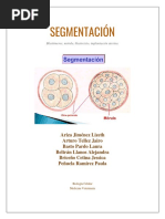 SEGMENTACIÓN