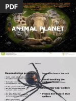 Animal Planet