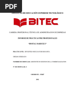 .Informe Prácticas Pre Profesionales II Bitec