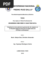 Universidad Nacional "Pedro Ruiz Gallo": Tesis