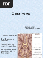 Cranial Nerves