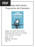 Trabajo Individual y Exposición de Literatura 2