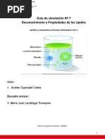 Guia 7 Reconocimiento Propiedades Lipidos