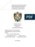 Informe 2 Fisica II