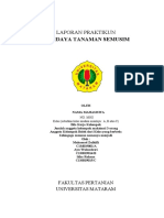 Penuntun Praktikum Mandiri Budidaya Tanaman Semusim - I Ketut Ngawit, Dkk. - 2020