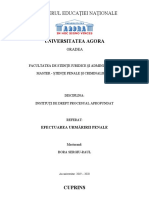 REFERAT Institutii de Drept Procesual Aprofundat. Efectuarea Urmaririi Penale. Bora Sergiu Raul