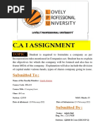 C.A I Assignment: Topic