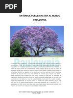 Paulownia Valor Agregado