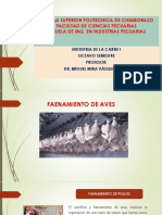 Faenamiento de Aves 6