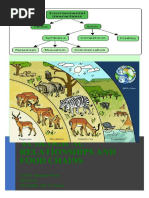 Biology - Ecology and Food Chains