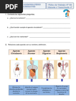 Ficha Práctica - La Nutrición 4° P