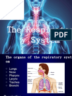 The Respiratory