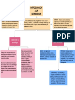 Copia de Mapa Conceptual 1