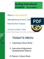 Chapter 5 - What Is Culture Shock