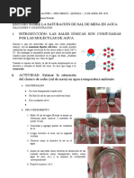 Saturación de La Sal en Agua. Final