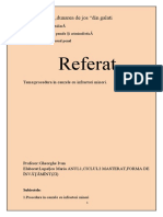 Referat-Drept Procesual Penal