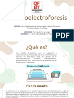 Inmunoelectroforesis