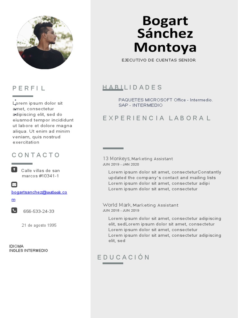 Nueva Plantilla Curriculum Vitae Gris Foto Lado | PDF