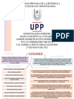 Mapa Conceptual