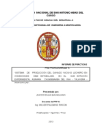 Informe Final de PPP Ii