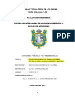 Informe PPP Shyesbil