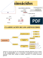 Aminoacidos y Proteinas