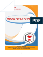 Modul Popca Iai PD Diy 2020-New