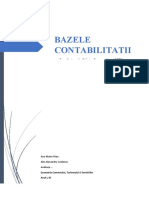 Proiect Contabilitate 