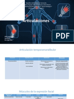 Laminas Articulaciones Varias