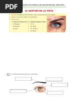 Actividad Del Sentido de La Vista. 4 To A