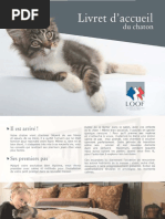 Livret Accueil Chaton