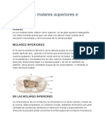 Apertura en Molares Superiores e Inferiores