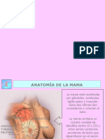 Autoexamen de Mama