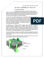 Guía N° 9 - Material Complementario - Membrana Plasmática. (Semana Del 26 Al 30 de Abril)