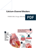 Calcium Channel Blocker (CCB)