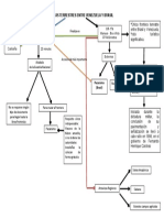 Rutas Terrestres Entre Venezuela y Brasil