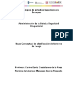 Meneses Rosendo - Mapa Conceptual Factor de Riesgos