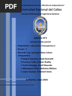 Informe 1 - Volumen Molar Parcial-Grupo 3