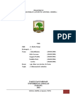 Topik 3 Rheumatoid Arthritis Kelompok 1